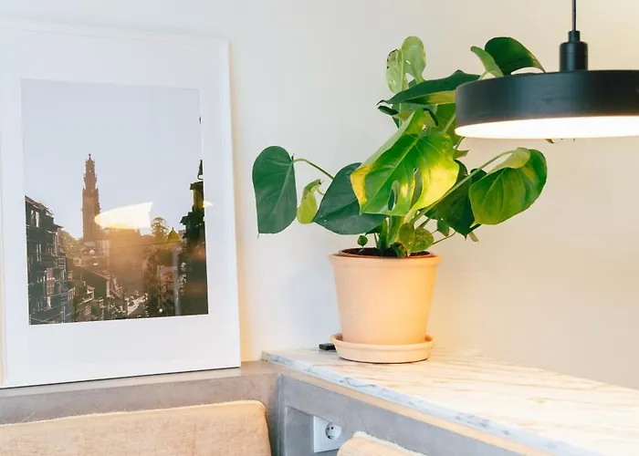 Cedofeita 41 Διαμέρισμα