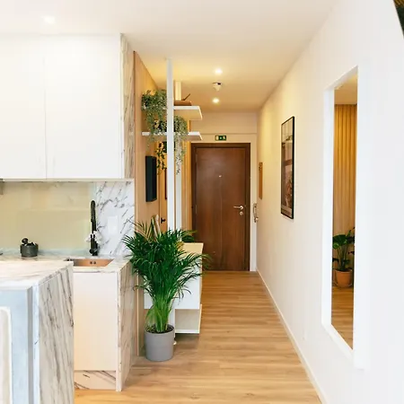 Cedofeita 41 Apartamento Oporto