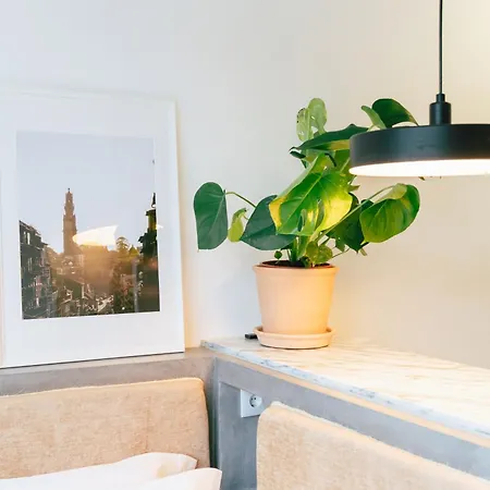 Cedofeita 41 Apartamento