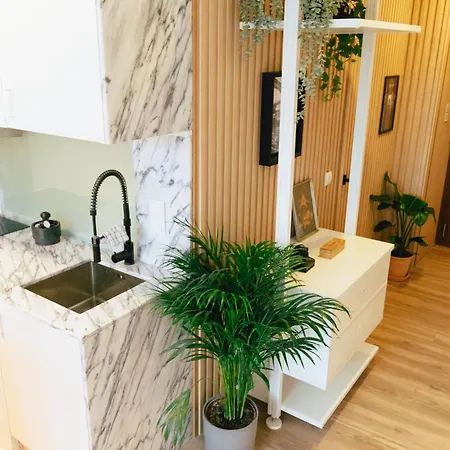 Apartamento Cedofeita 41 *