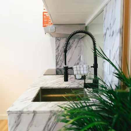 Cedofeita 41 Apartamento Oporto