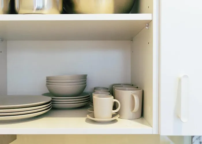 Cedofeita 41 * بورتو