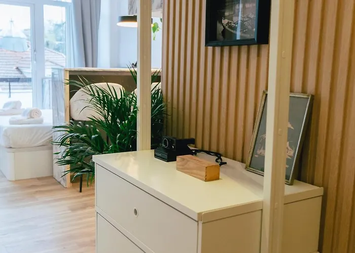 Cedofeita 41 بورتو