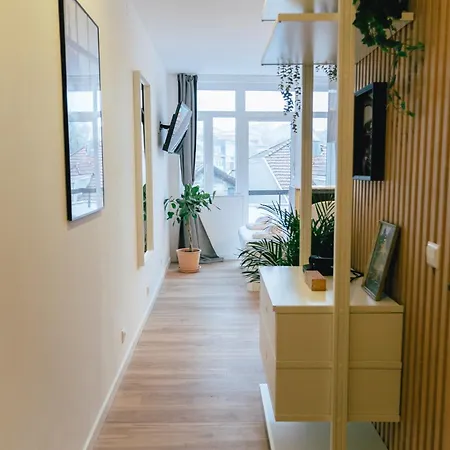 Appartement Cedofeita 41