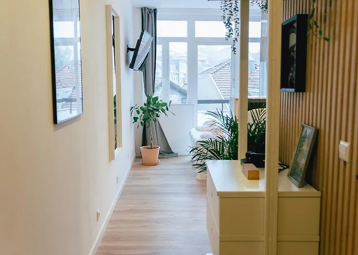 Appartement Cedofeita 41