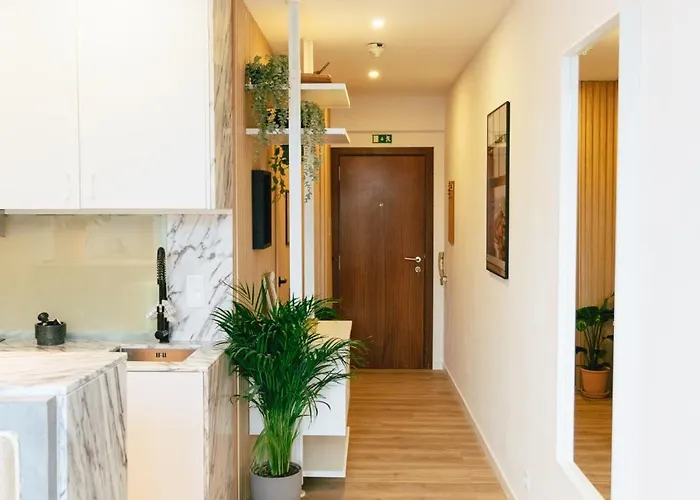 Cedofeita 41 Appartement Oporto